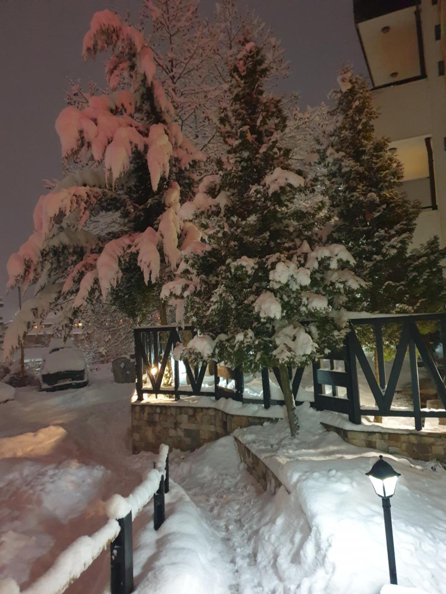 Dream Apart Hotel 207 Банско Стая снимка